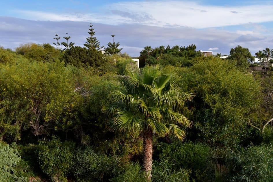Sur Le Golf De Mogador Cactus Bleu * Essaouira
