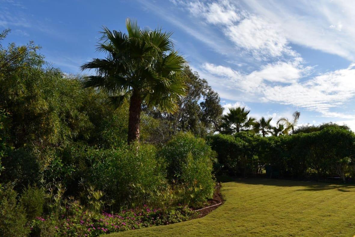 Villa Sur Le Golf De Mogador Cactus Bleu *